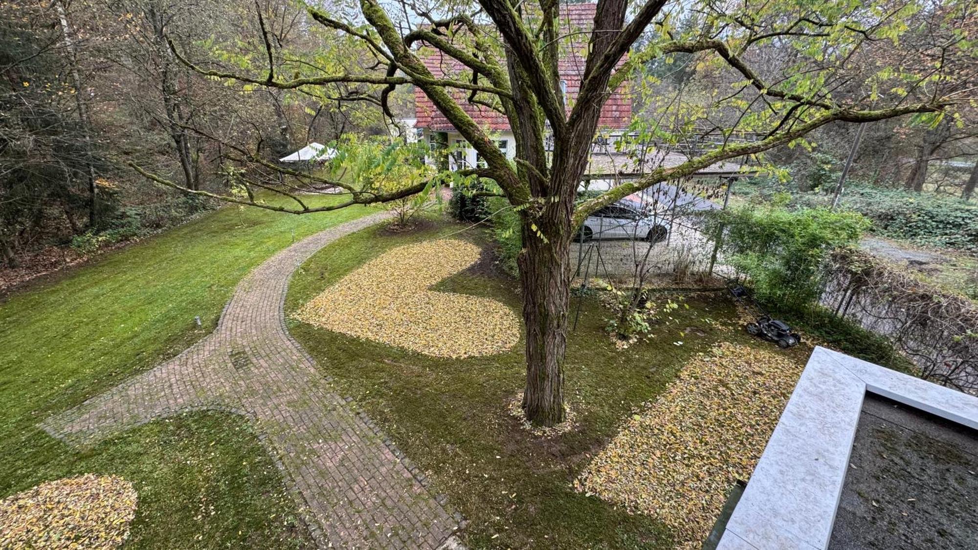 5 Sterne Bahnhoftraum, Appartement "Waldliebe" 133Qm, Grosse Terrasse 70Qm, Qr Code Scannen Fuer Virtuellen Rundgang, Premium Ausstattung ブラウンフェルス エクステリア 写真